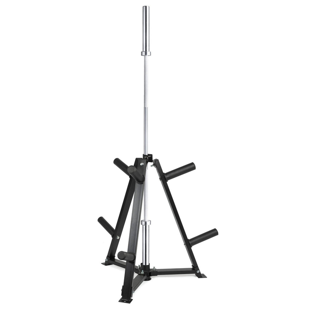 Durable Vertical Weight Plates Rack – 300kg Capacity, Plate & Dumbbell Storage Stand with 6 Clamp Holders