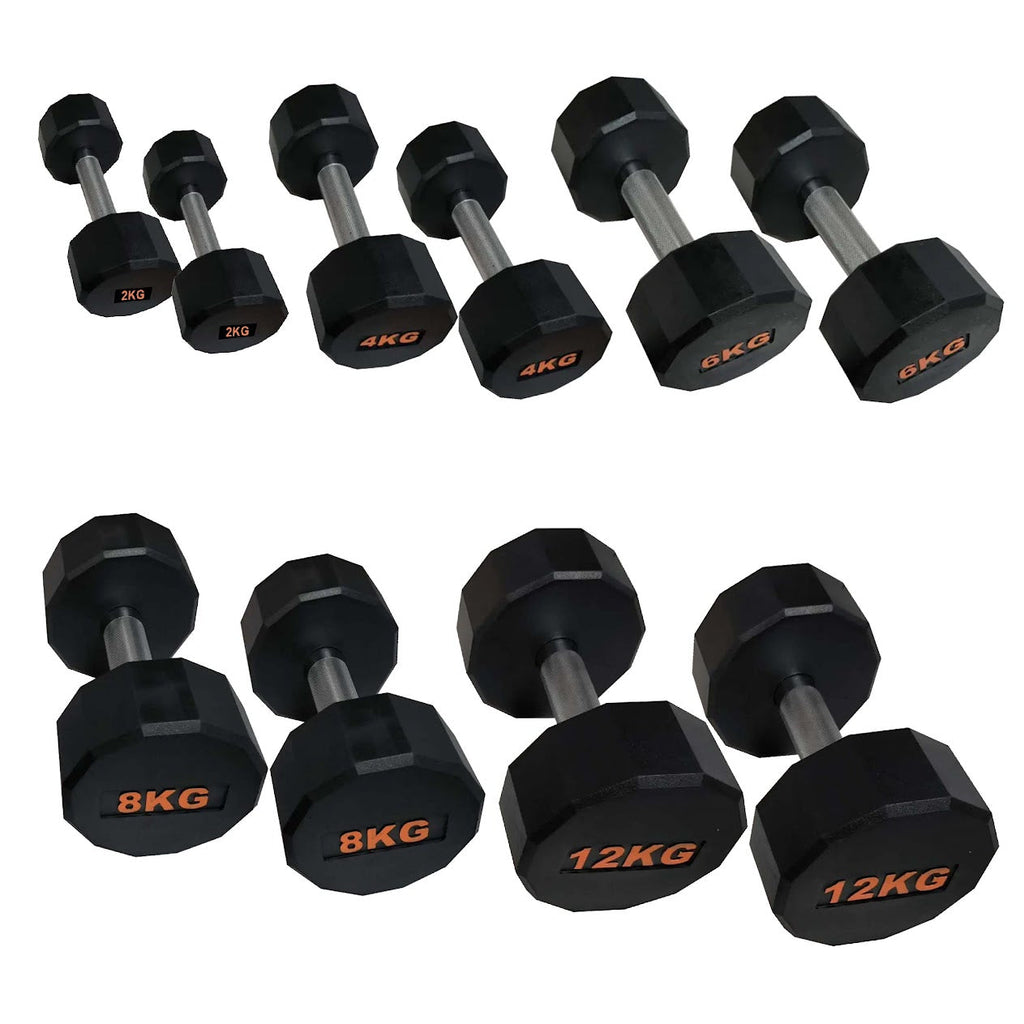 Hex-Shaped Round Dumbbell – Anti-Roll Strength Weight for Stable & Controlled Training Sessions