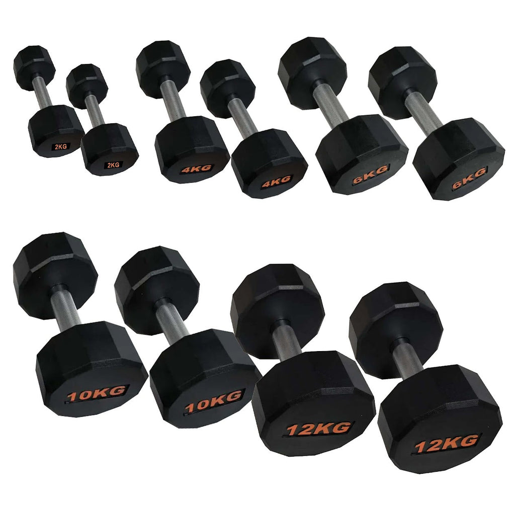Hex-Shaped Round Dumbbell – Anti-Roll Strength Weight for Stable & Controlled Training Sessions