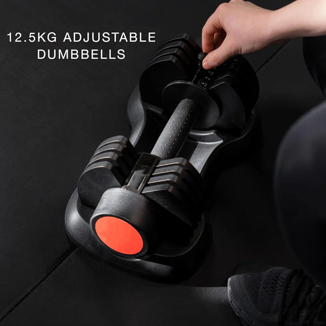 12.5KG adjustable dumbbells with a hand holding one, on a dark background