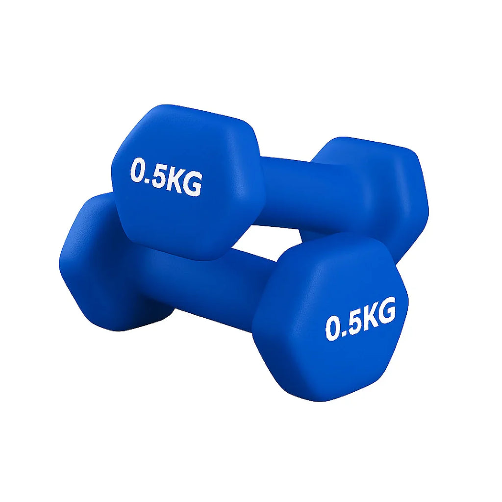 Pair of blue 0.5KG dumbbells on a white background