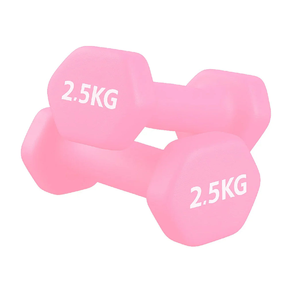 Pair of pink dumbbells with '2.5KG' marking on a white background