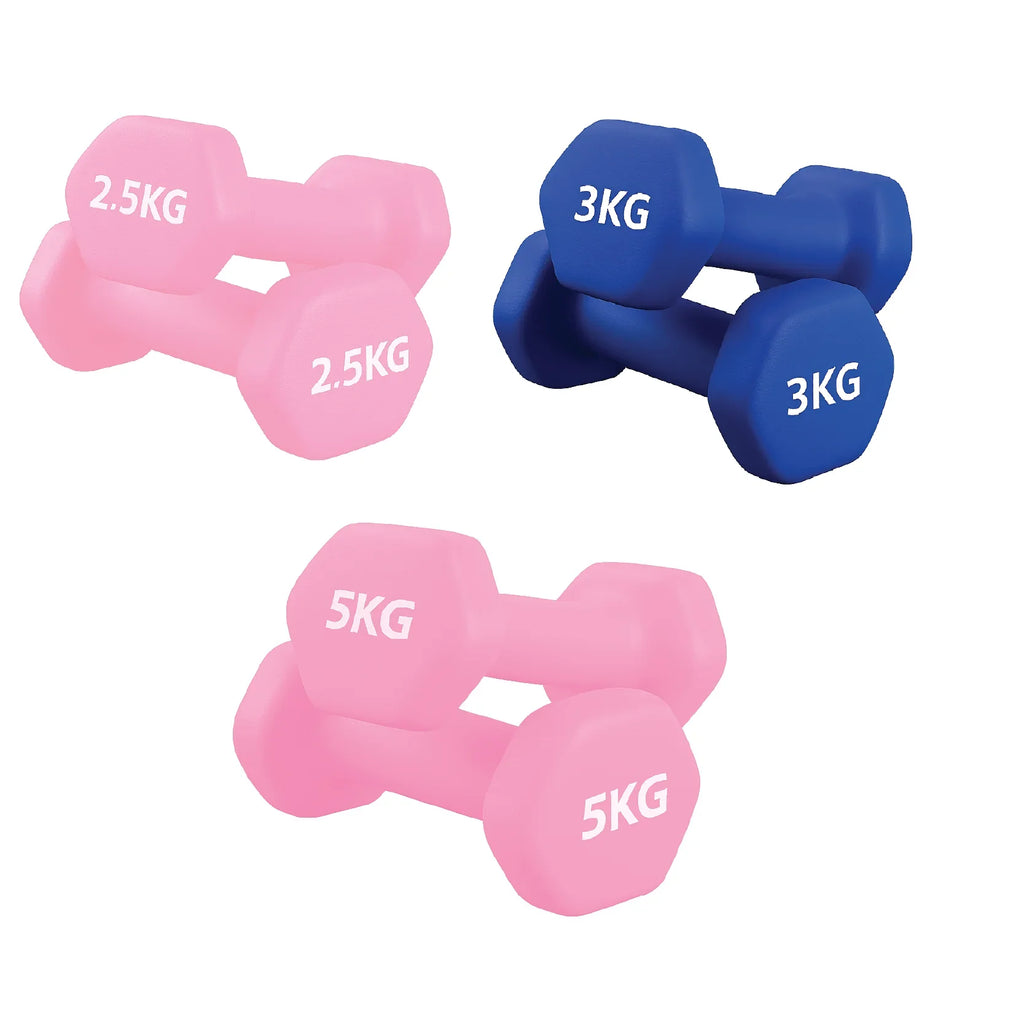 Set of pink and blue dumbbells with weight markings on a white background