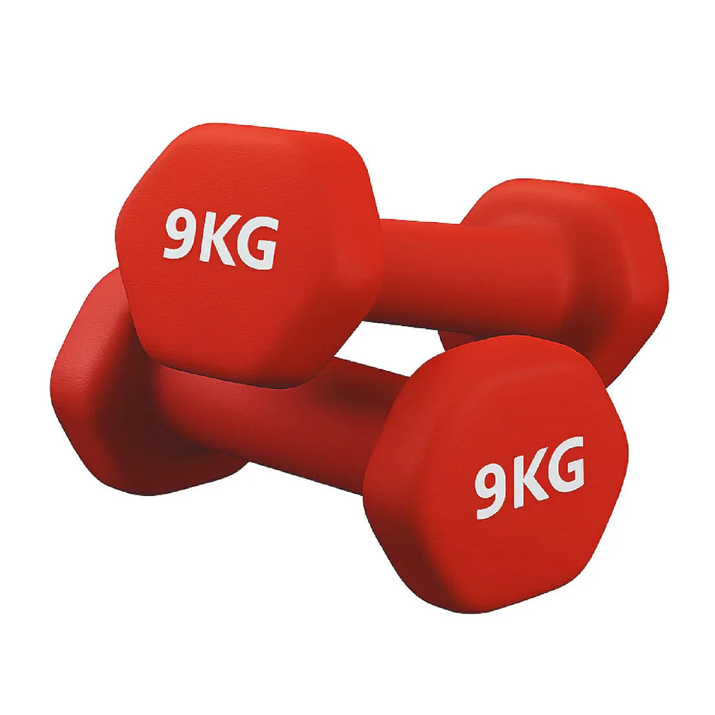 Pair of red dumbbells with '9KG' marking on a white background