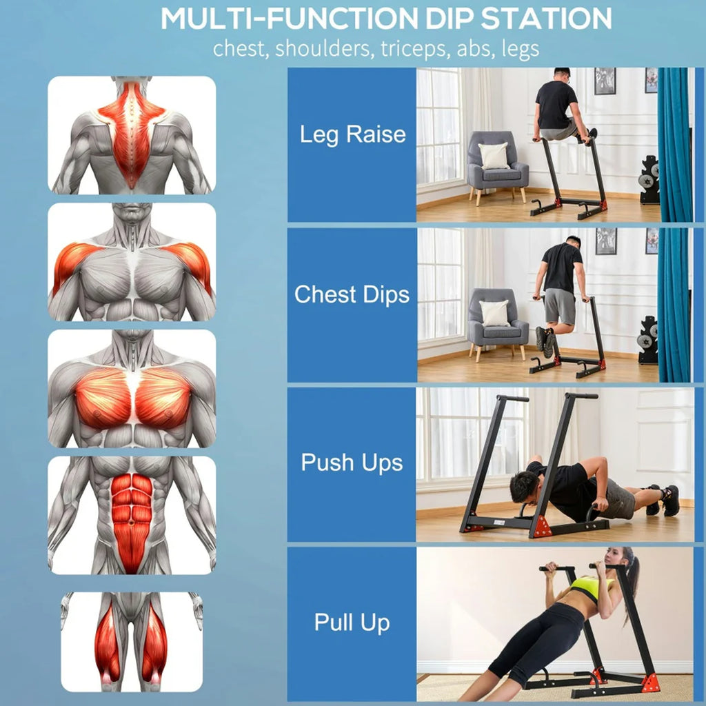Multi-function dip station with images of muscles worked and people using it.